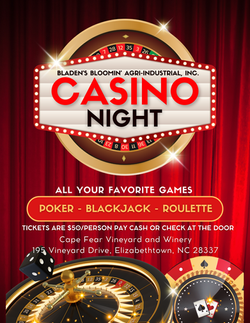 Casino Night Fundraiser