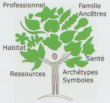 ARBRE-CF-MAI-2018.jpg