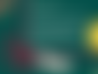 Holiday Bonuses...What is Standard?