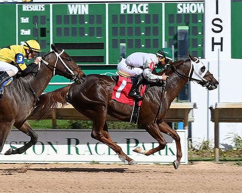 ALTO ROAD - 02-19-23 - R04 - HOU - Finish.jpg
