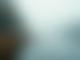 The Power of Mindfulness in Everyday Life