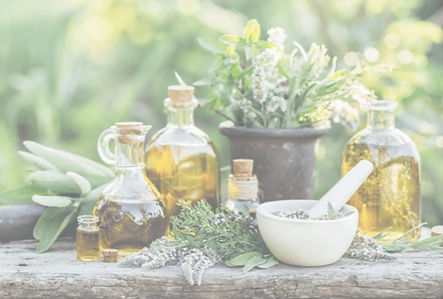 Captura de tela 2024-08-14 155134_edited