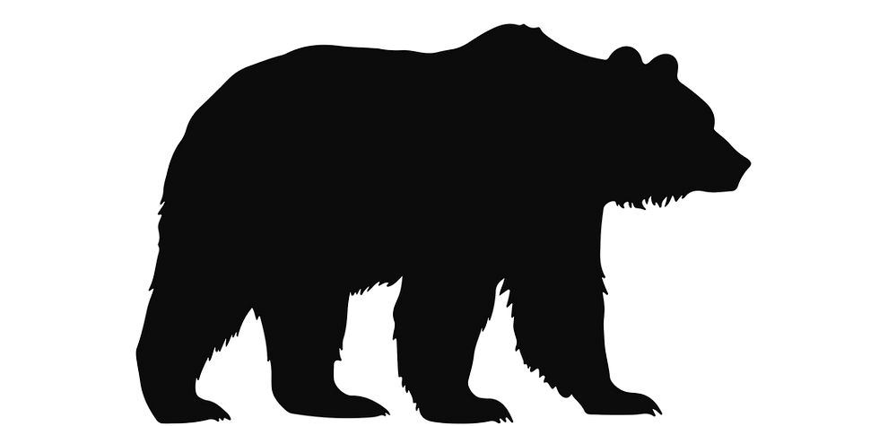 Bear Icon # 2