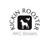 Kickin Rooster AKC Boxers Logo