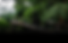 test.png