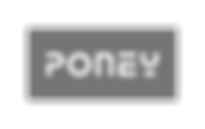 32. Poney.png