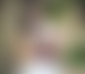 Ensaio fotográfico feminino ao ar livre