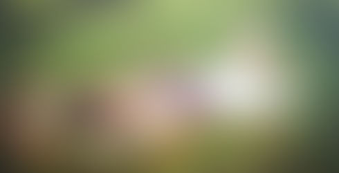 Ensaio fotográfico feminino ao ar livre