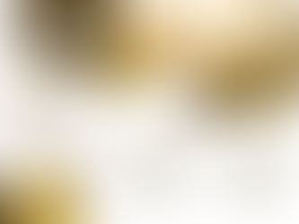 Investment Committee - At a Glance