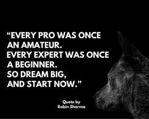 You Can't Teach An Old Dog New Tricks, Or So The Saying Goes...