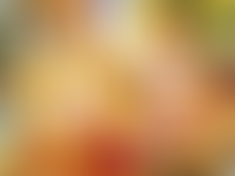 Importance of Sayana Ekadasi