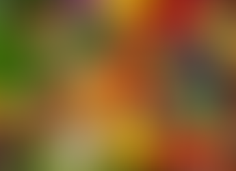 LEI Nº 10.139/2023 - PROGRAMA “OÁSIS ALIMENTAR”