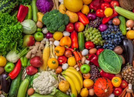 LEI Nº 10.139/2023 - PROGRAMA “OÁSIS ALIMENTAR”