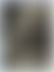 PROJETO DE LEI Nº 94/2023 ALTERA O NOME DO COLÉGIO ESTADUAL PRESIDENTE CASTELO BRANCO