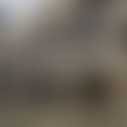 PROJETO DE LEI Nº 1008/2023 ORGANIZAÇÃO DO SISTEMA DE ENSINO DO ESTADO DO RIO DE JANEIRO