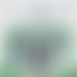 LEI Nº 10.360/2024 - MUSEU DO SAMBA É PATRIMÔNIO CULTURAL IMATERIAL DO RIO DE JANEIRO