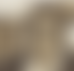 PROJETO DE LEI Nº 91/2023 ALTERA O NOME DA ESCOLA ESTADUAL