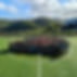 THE field pic.jpg
