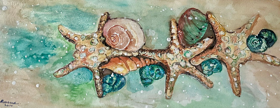 Sea Stars and Shells