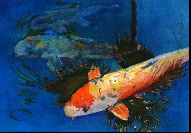 Koi