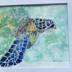 Sea Turtle in Frame