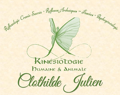 Présentation kinésiologie1.jpg