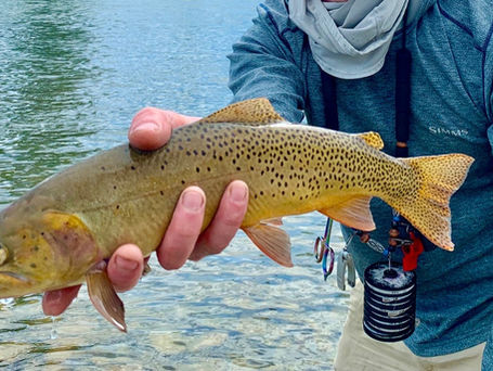 South Fork Fishing Report | Snake River, ID | 8.2.23