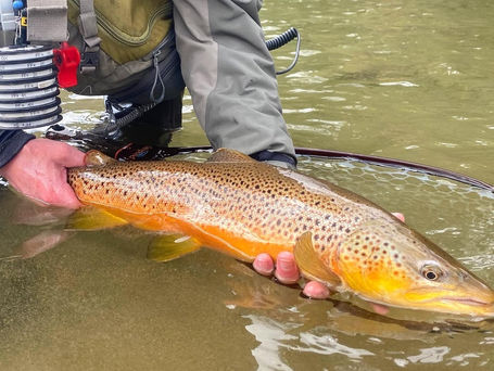 Fall Colors & Frosty Mornings | Oct 5th, 2022