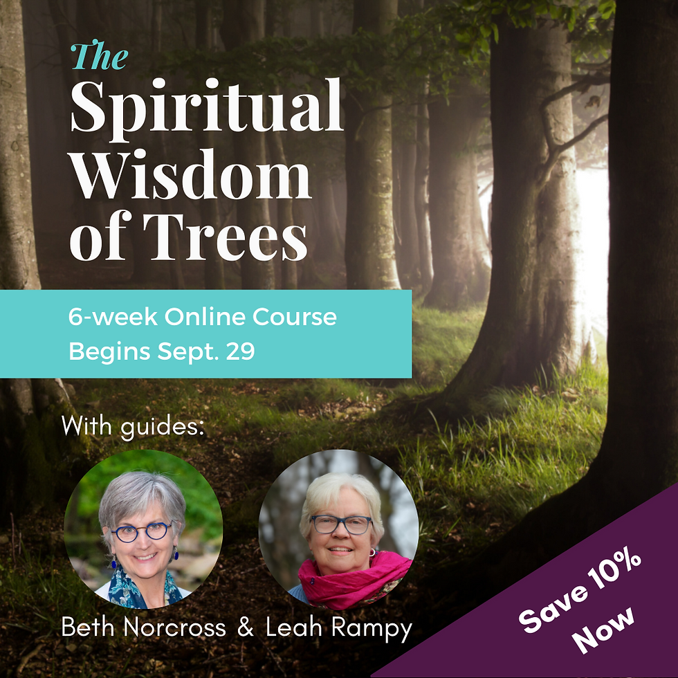 Beth Norcross and Leah Rampy with lead an online program titled, "The Spiritual Wisdom of Trees" beginning September 29, 2023