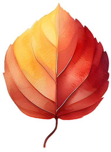 AdobeStock_670490054-10_edited.png