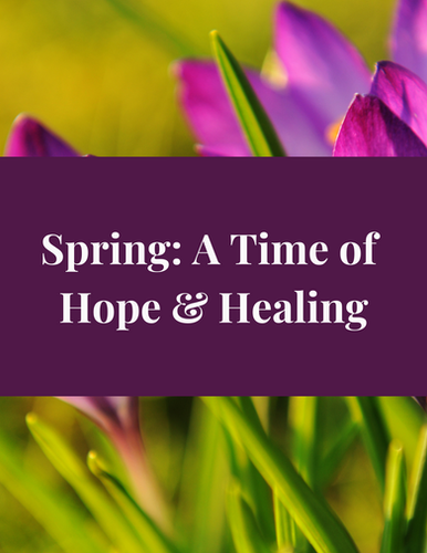 Spring Walk | CtrforSpiritinNature