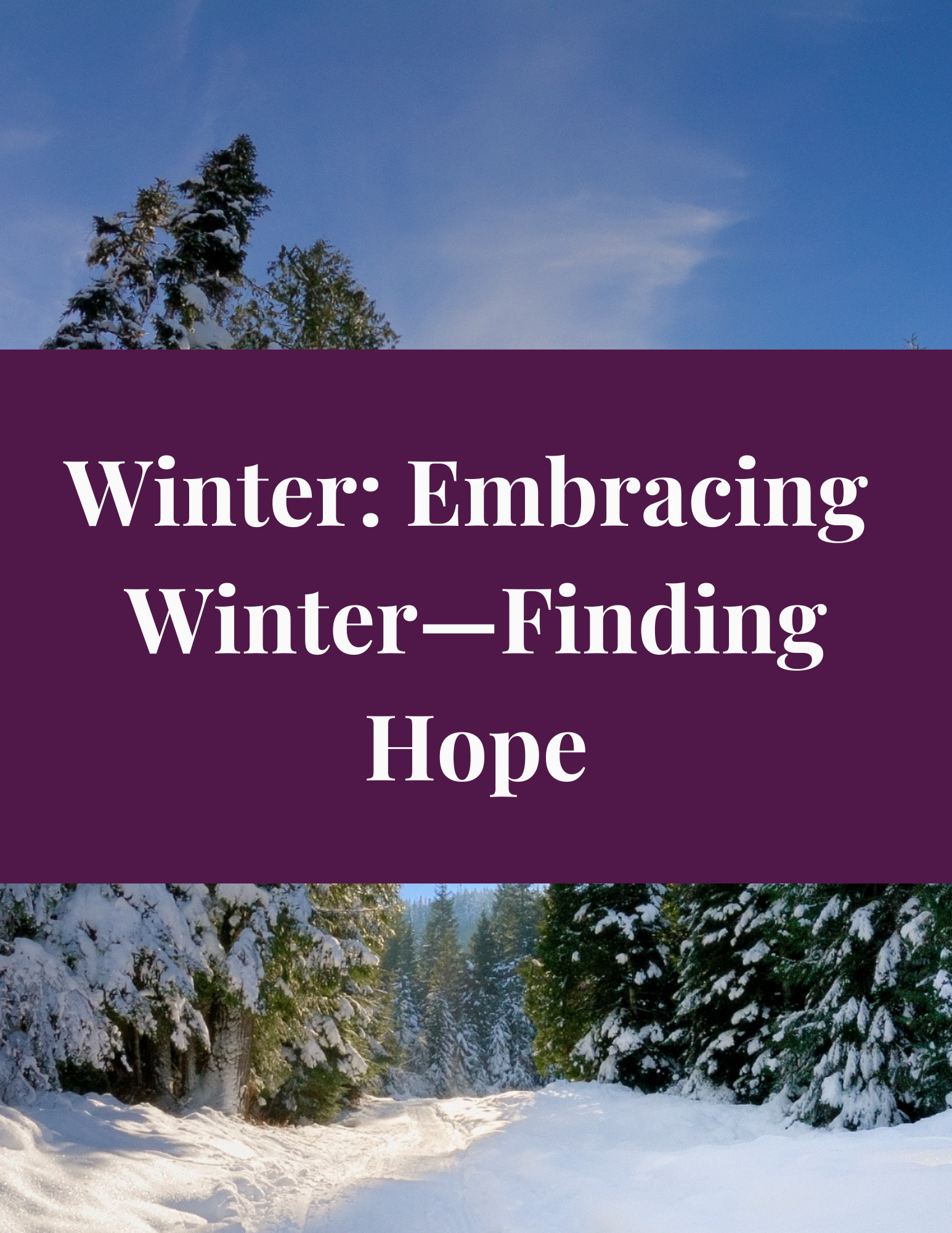 Winter Walk Guide + Audio Companion