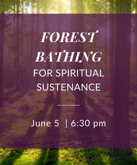 Forest Bathing Program June 5