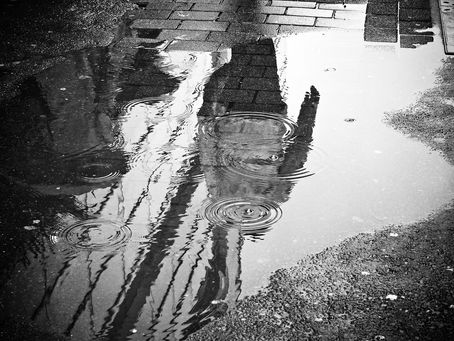 RELAÇÃO ÁGUA E CIDADE