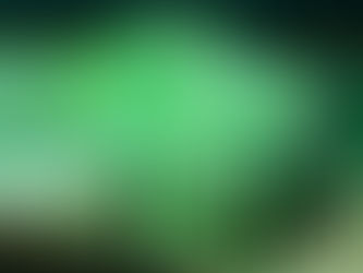 ASTROS, HORÓSCOPO E JARDINS