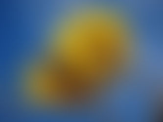 LIÇÃO DE VIVÊNCIA QUE PASSA DESPERCEBIDA