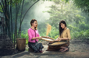 rice-1807547_1920.jpg