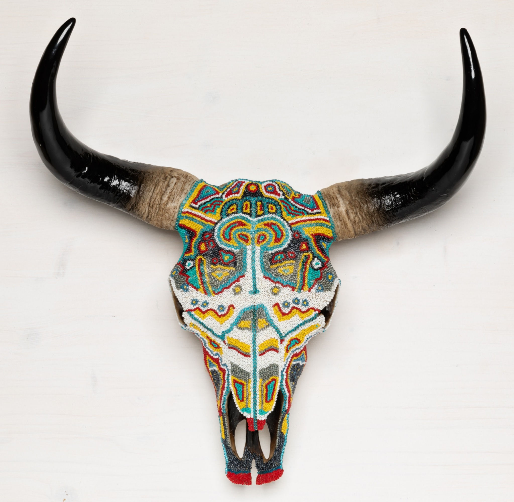Buffle Skull