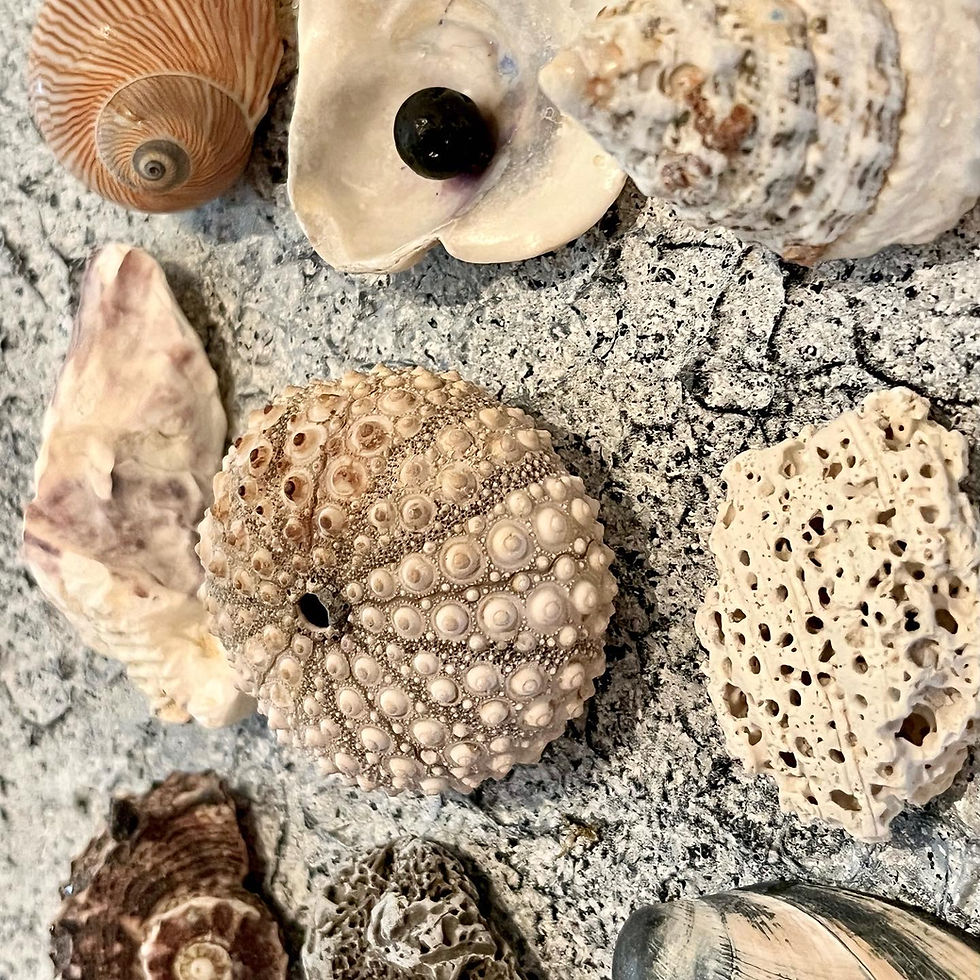 Miniature : Seabed