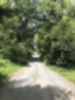 2020-07-22-09_11_37_000-1152x1536 (1)