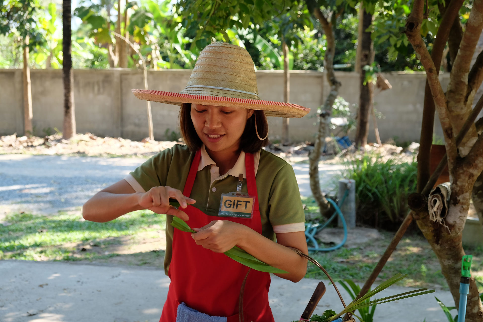 Thaï Farm Cooking Class