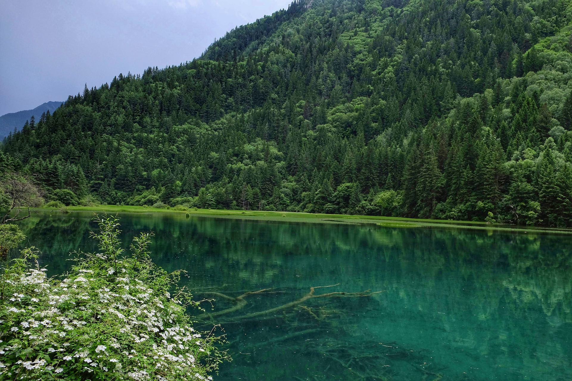 Jiuzhaigou - Arrow Lake