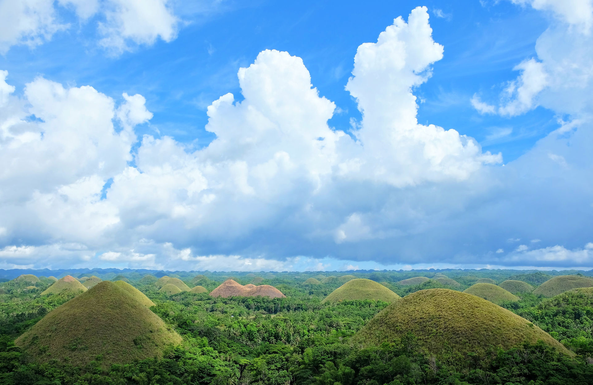 Bohol