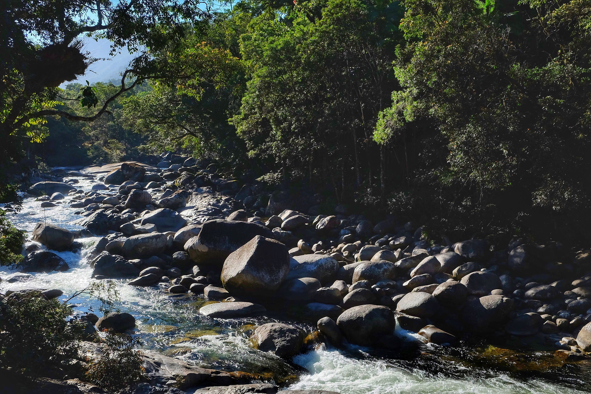 Mossman Gorge