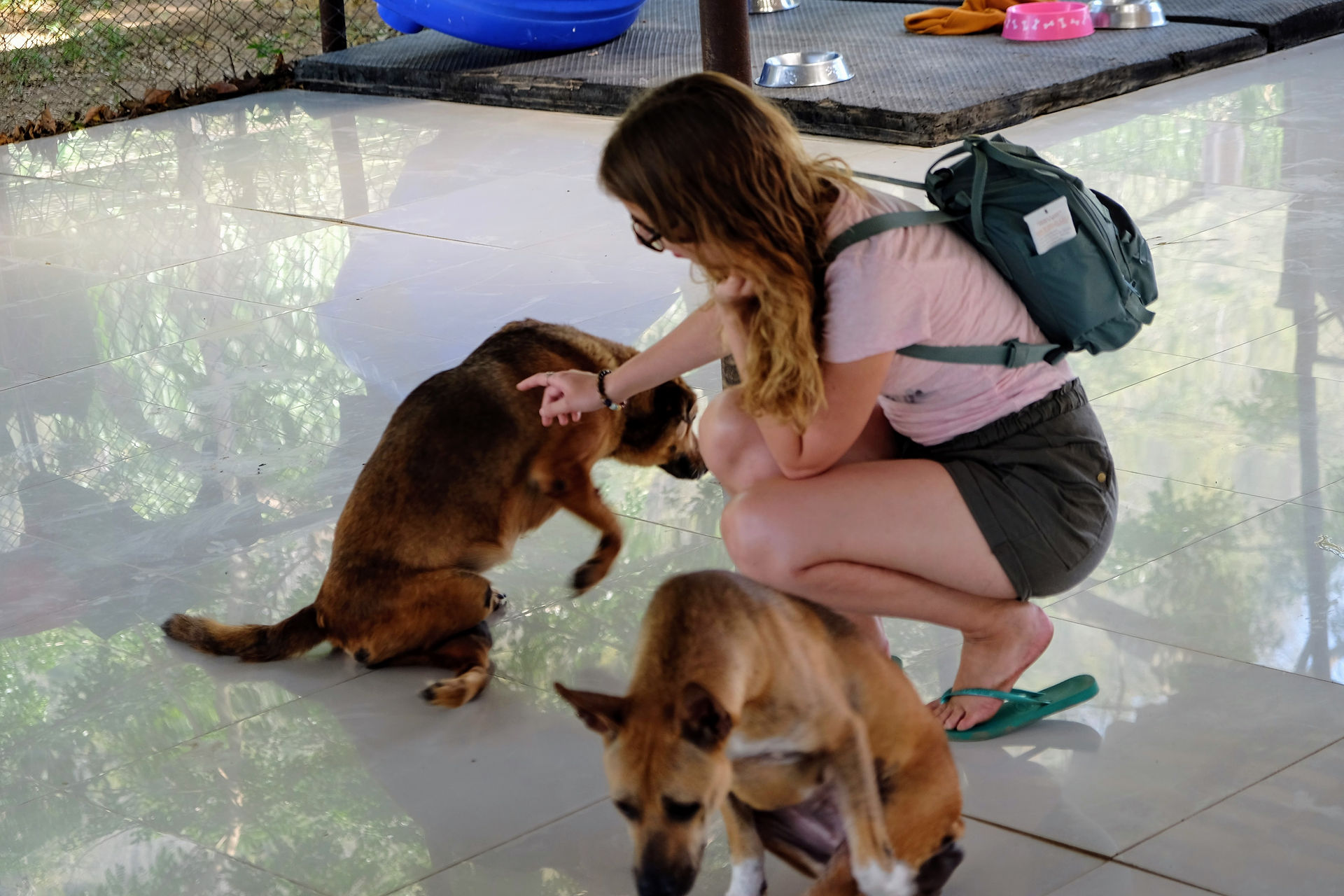 Elephant Nature Park