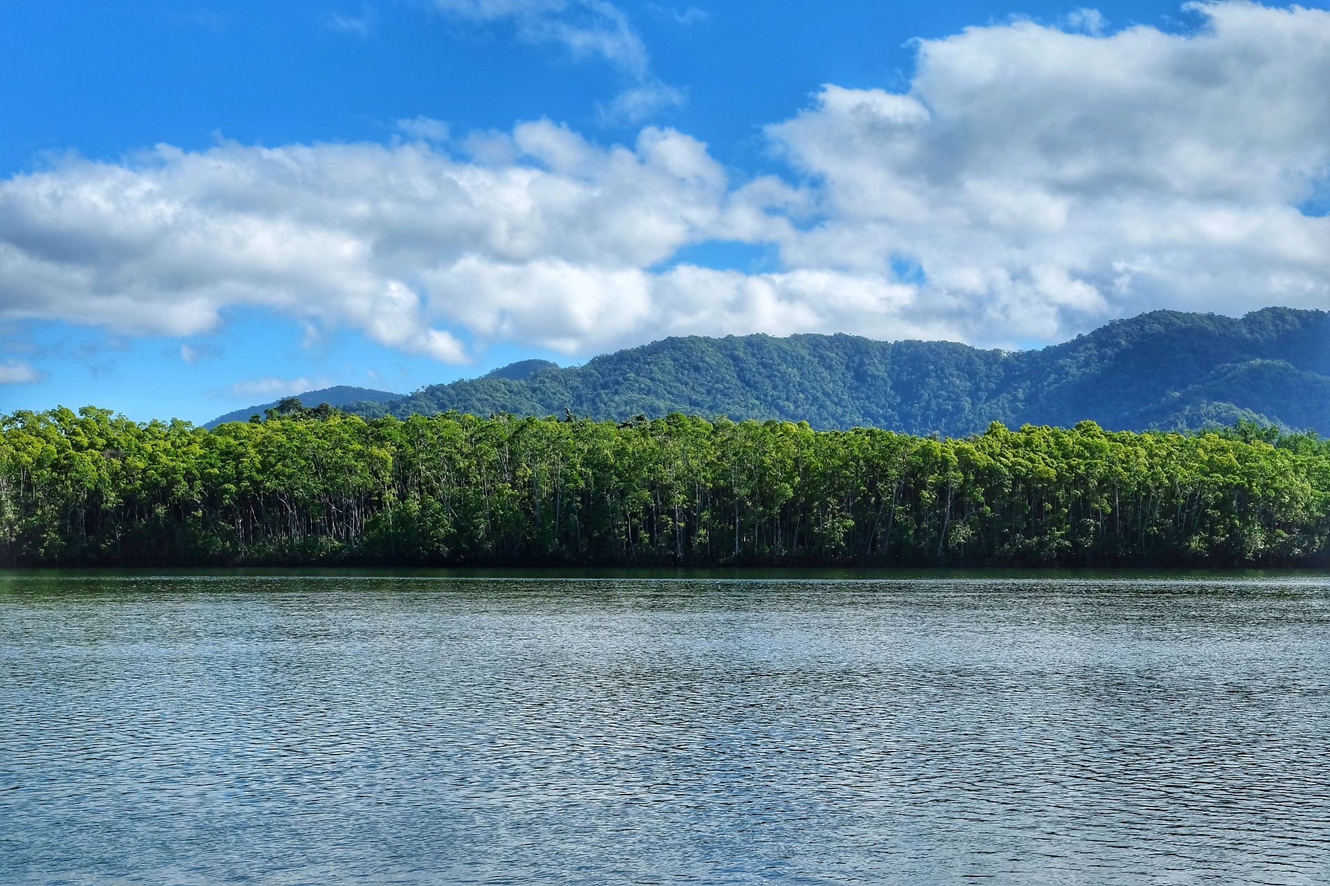 Daintree River