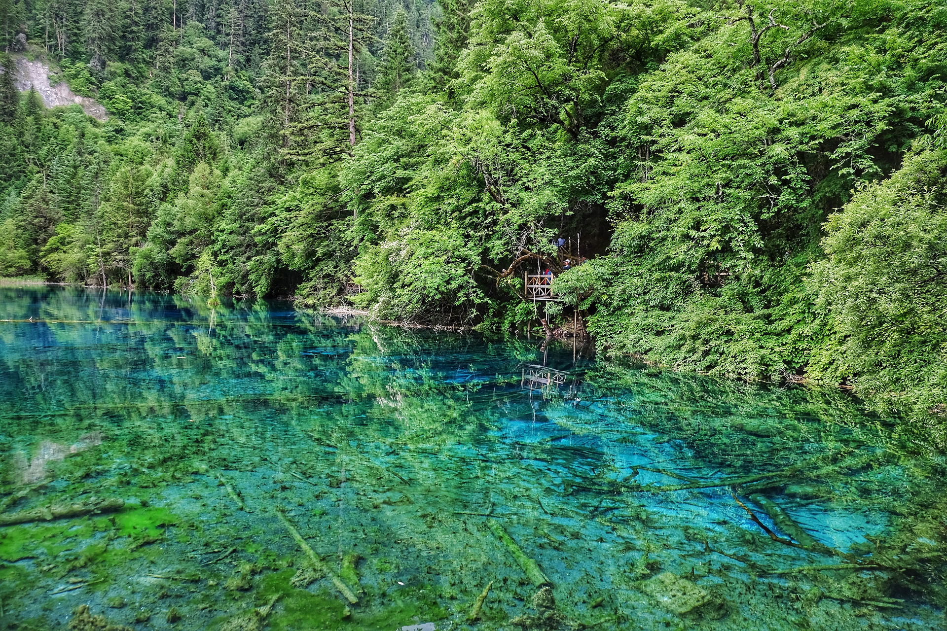 Jiuzhaigou - Five Flower Lake