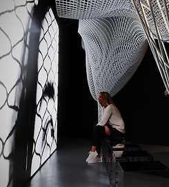 Alma Humana_3ds_site.png