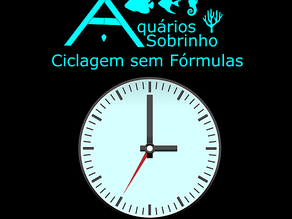 Ciclagem sem Fórmulas