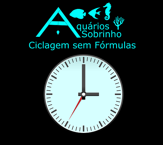 ciclagem de aquário